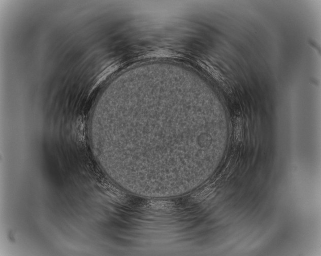 X0000097961258200804141019