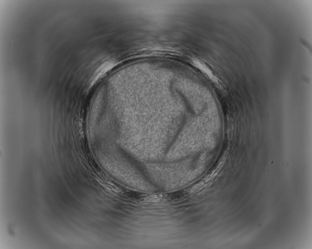 X0000097961259200804141019