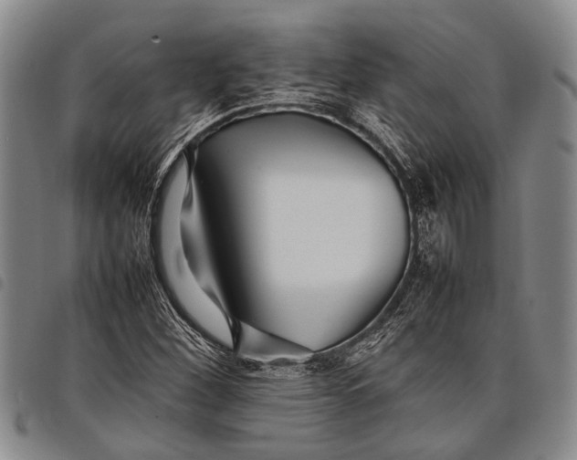 X0000097961260200804141019