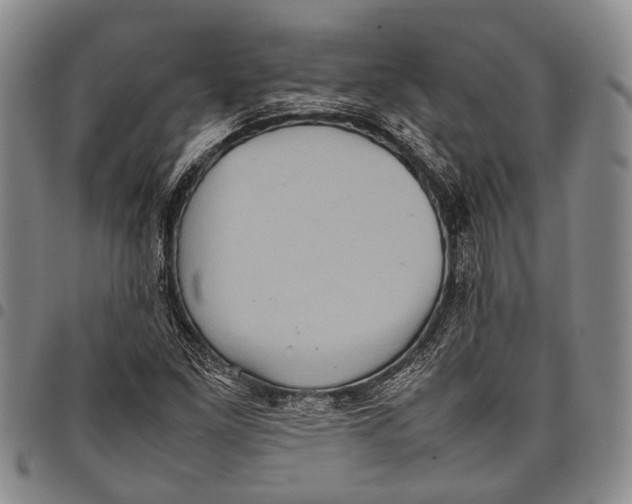 X0000097961261200804141019