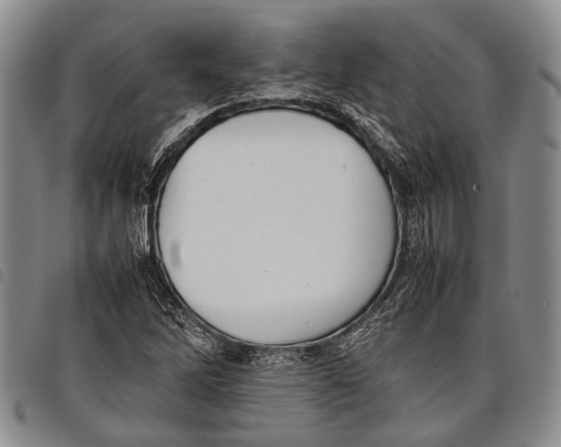 X0000097961262200804141019