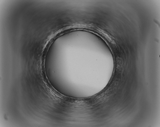X0000097961264200804141019