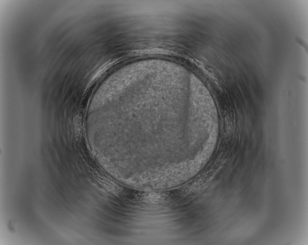 X0000097961266200804141019