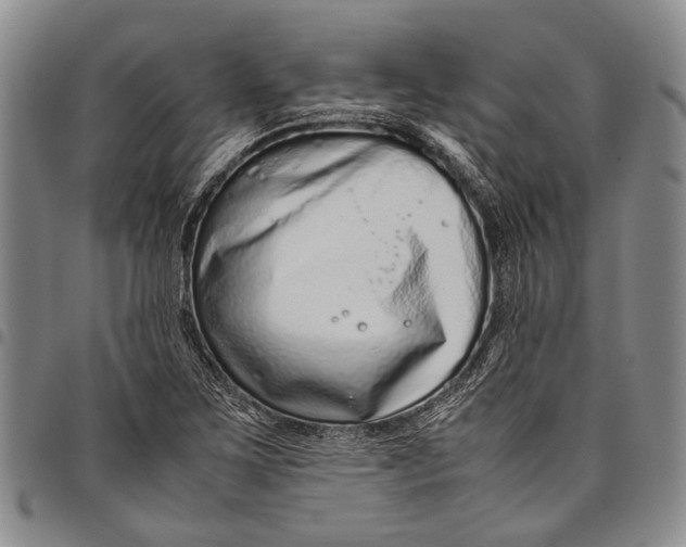 X0000097961267200804141019