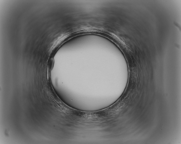 X0000097961269200804141019