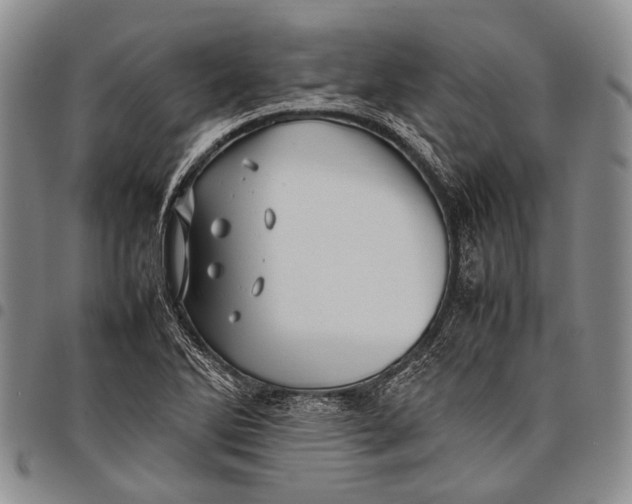 X0000097961270200804141019