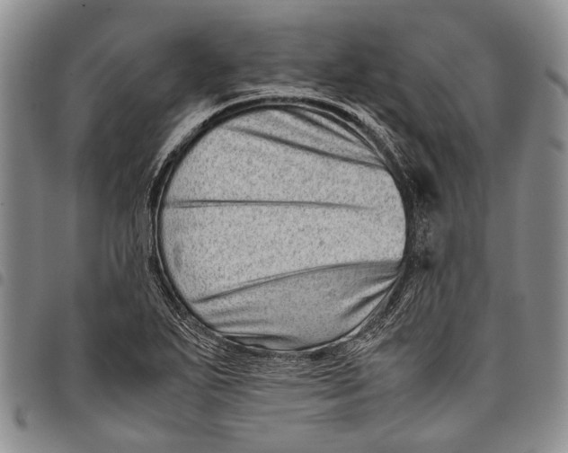 X0000097961271200804141019