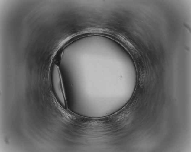 X0000097961272200804141019