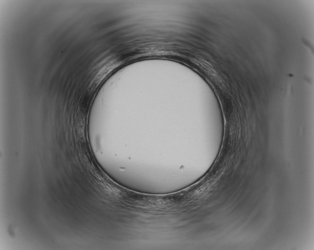 X0000097961273200804141019