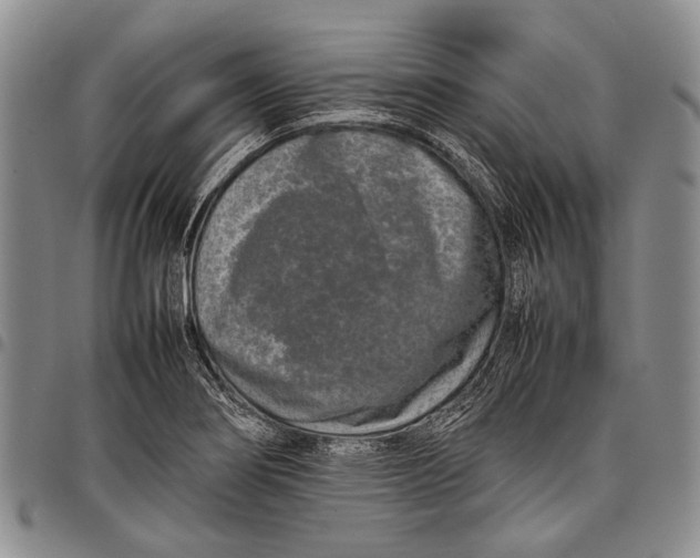X0000097961274200804141019