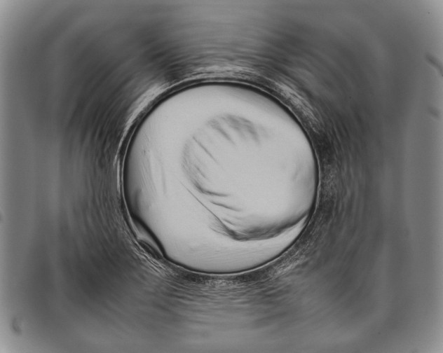 X0000097961275200804141019