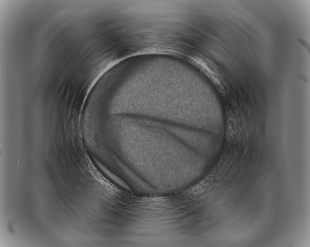 X0000097961276200804141019