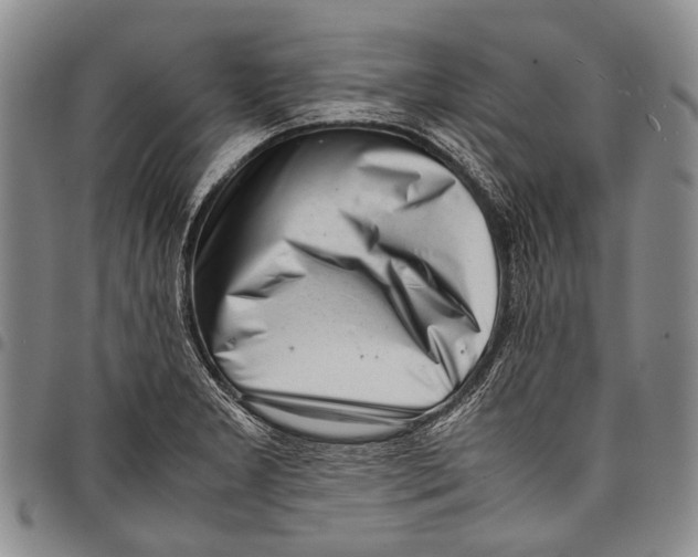 X0000097961277200804141019
