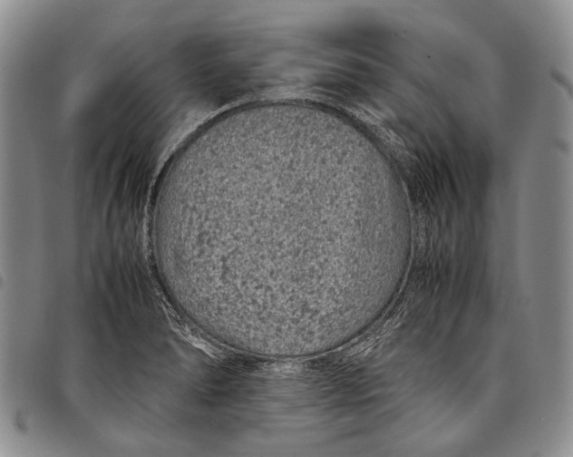 X0000097961278200804141019