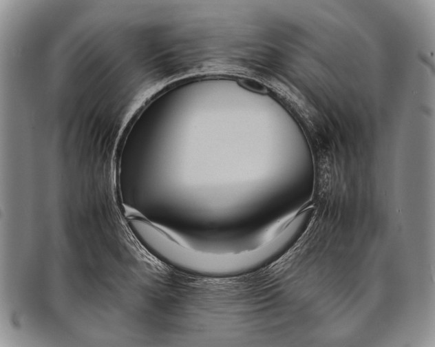 X0000097961280200804141019