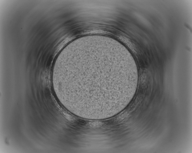 X0000097961282200804141019