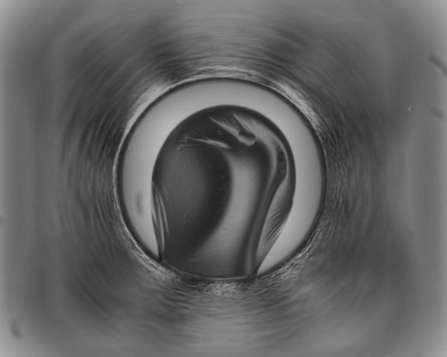 X0000097961283200804141019