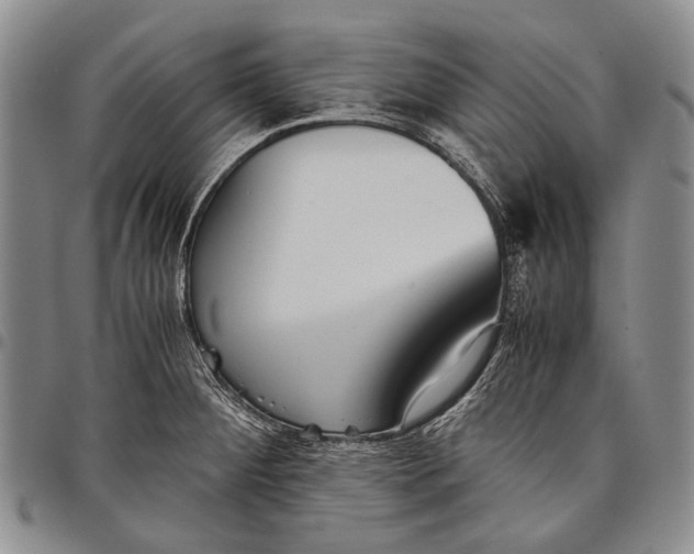 X0000097961284200804141019