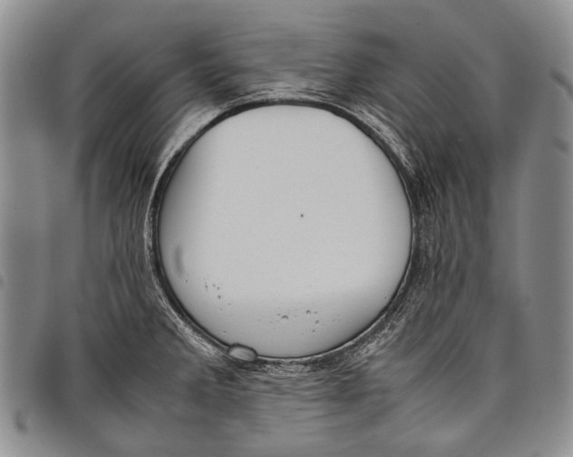 X0000097961285200804141019