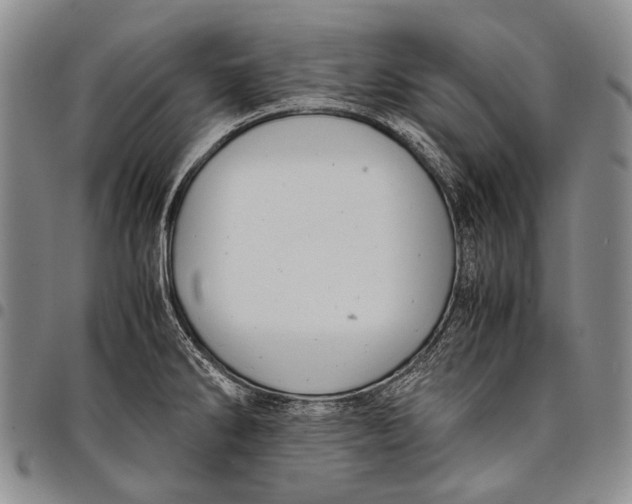 X0000097961286200804141019