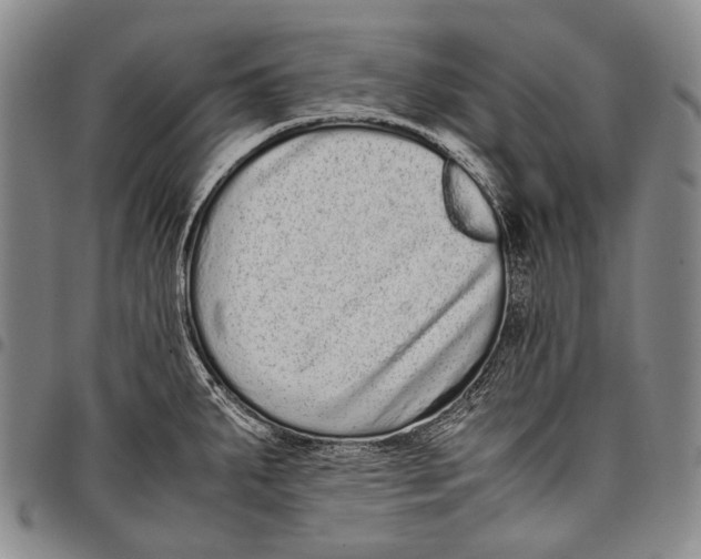 X0000097961287200804141019