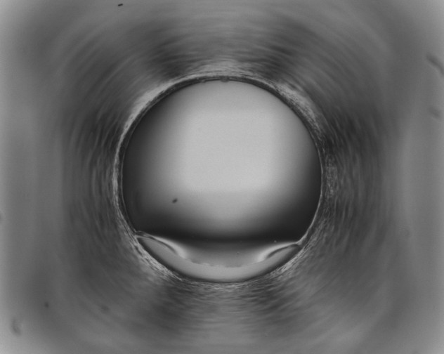 X0000097961288200804141019
