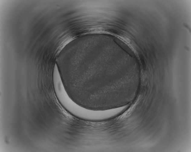 X0000097961289200804141019