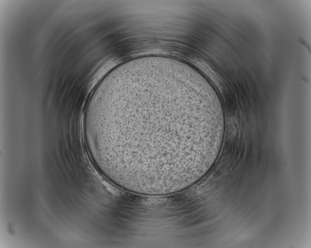 X0000097961290200804141019