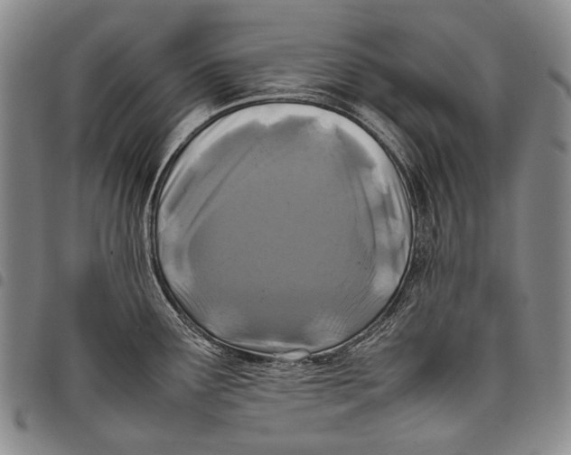 X0000097961291200804141019