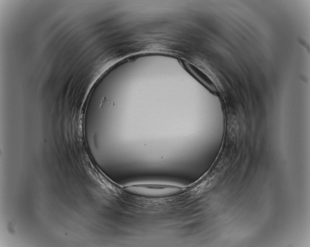 X0000097961292200804141019