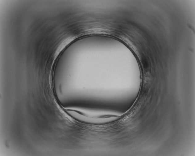 X0000097961293200804141019