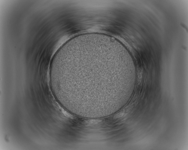 X0000097961294200804141019