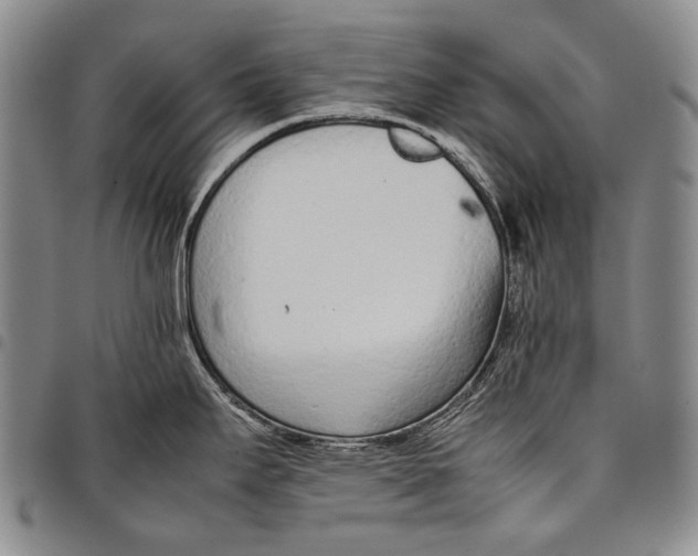X0000097961295200804141019