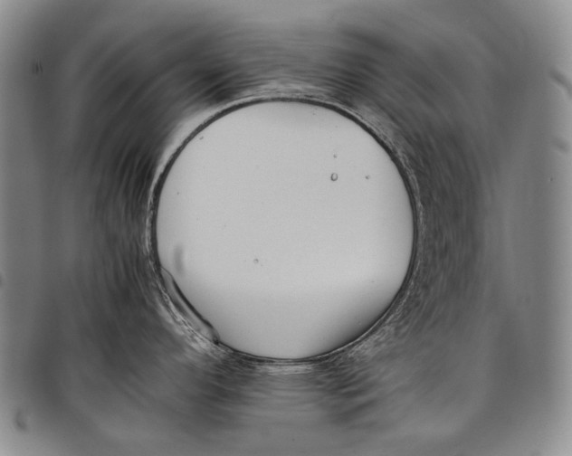 X0000097961296200804141019