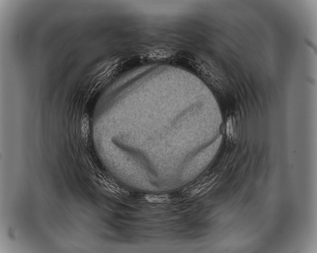X0000097961299200804141018