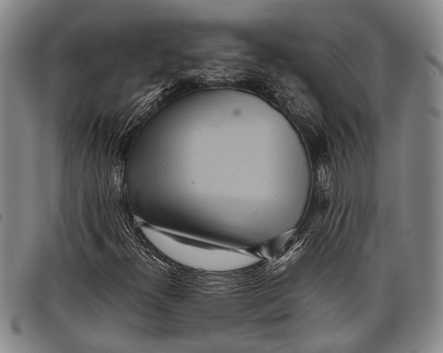 X0000097961300200804141018