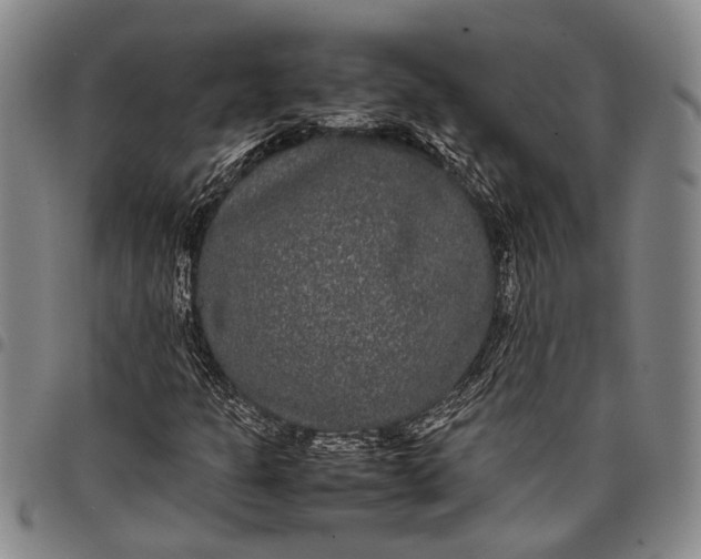 X0000097961301200804141018