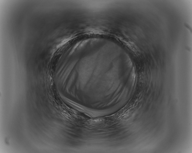 X0000097961303200804141018