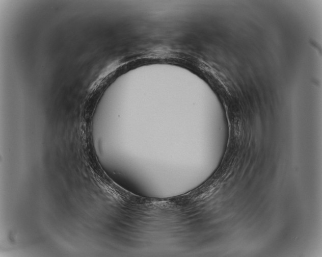 X0000097961304200804141018