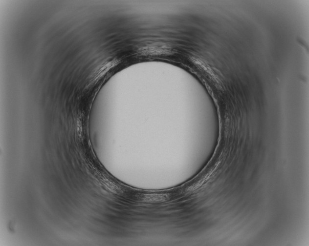 X0000097961305200804141018