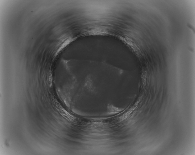 X0000097961306200804141018