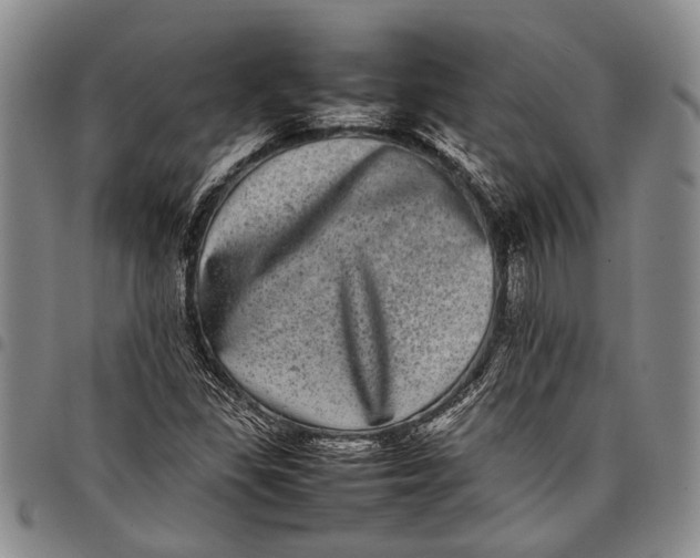 X0000097961309200804141018