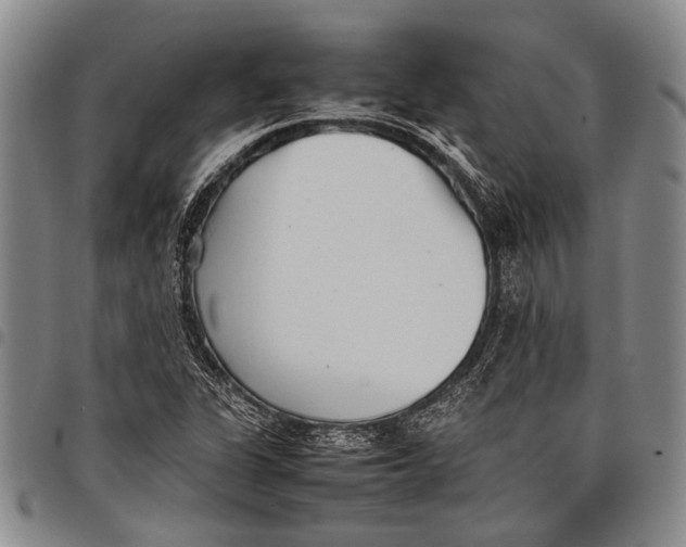 X0000097961311200804141018