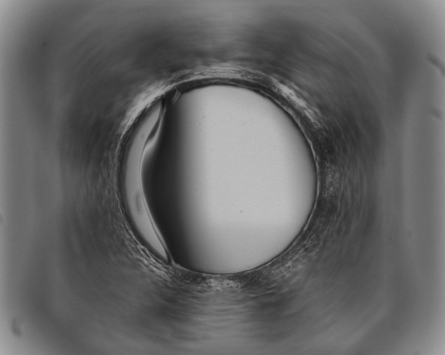 X0000097961312200804141018