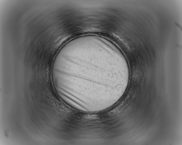 X0000097961313200804141018