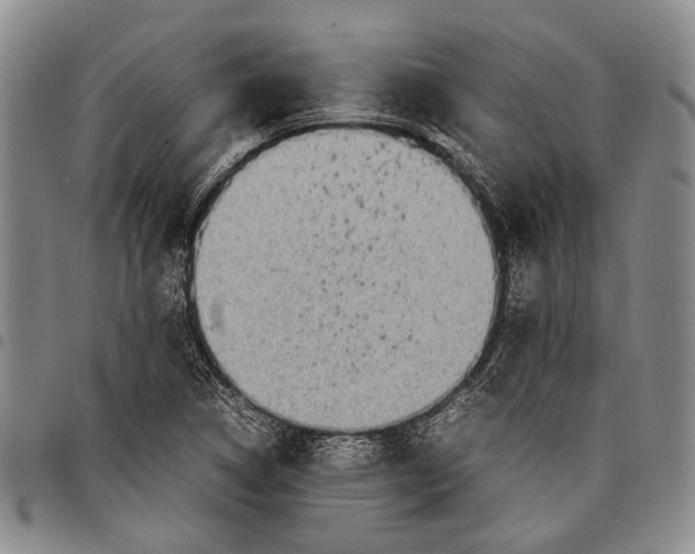 X0000097961314200804141018