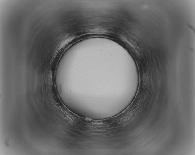 X0000097961315200804141018