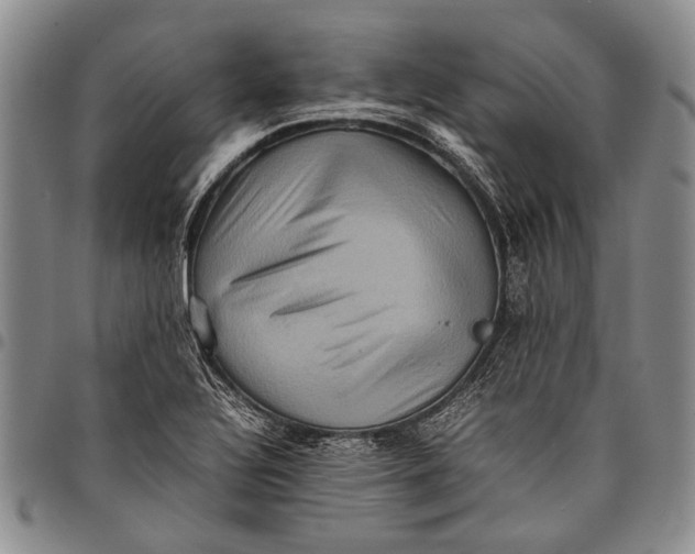 X0000097961320200804141018