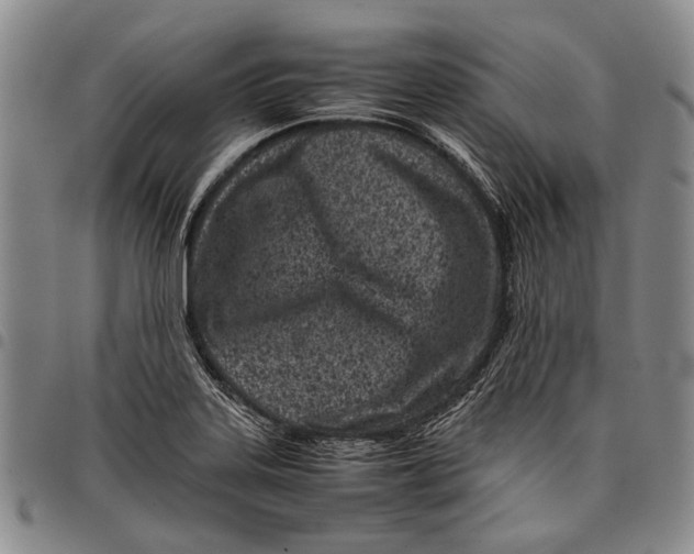 X0000097961323200804141018
