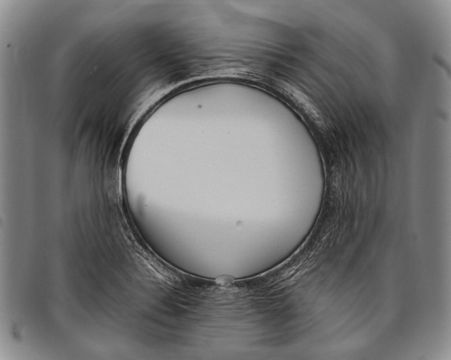 X0000097961324200804141018
